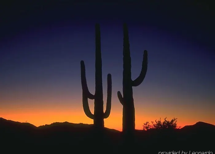 Express & Phoenix/chandler 3*